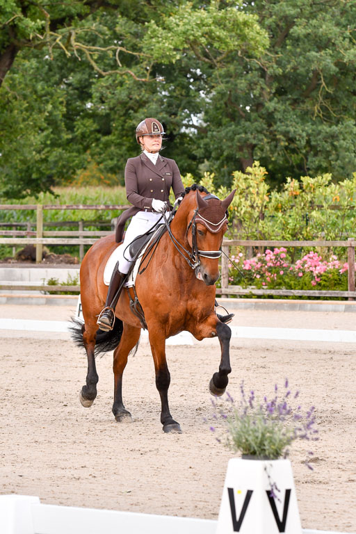 Klein Offenseth Dressur  1.8.2021 | 01082021 Dressur  KL S +_196 