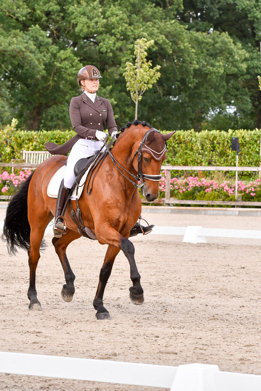 Klein Offenseth Dressur  1.8.2021 | 01082021 Dressur  KL S +_198 