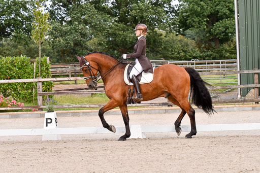 Klein Offenseth Dressur  1.8.2021 | 01082021 Dressur  KL S +_199 