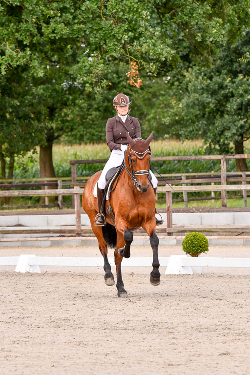 Klein Offenseth Dressur  1.8.2021 | 01082021 Dressur  KL S +_202 