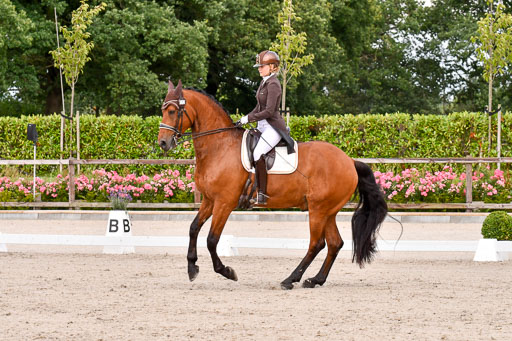 Klein Offenseth Dressur  1.8.2021 | 01082021 Dressur  KL S +_206 