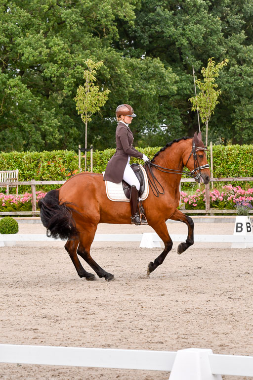 Klein Offenseth Dressur  1.8.2021 | 01082021 Dressur  KL S +_213 