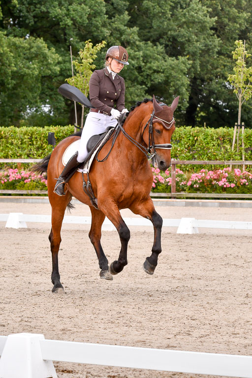 Klein Offenseth Dressur  1.8.2021 | 01082021 Dressur  KL S +_216 