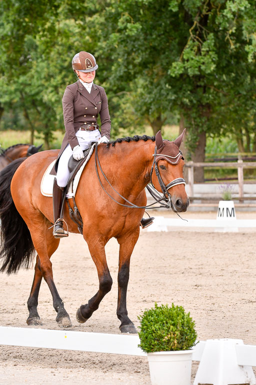 Klein Offenseth Dressur  1.8.2021 | 01082021 Dressur  KL S +_225 