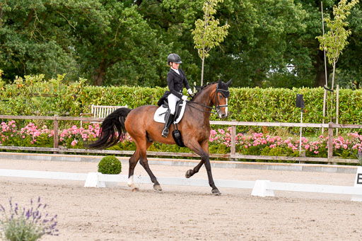 Klein Offenseth Dressur  1.8.2021 | 01082021 Dressur  KL S +_233 