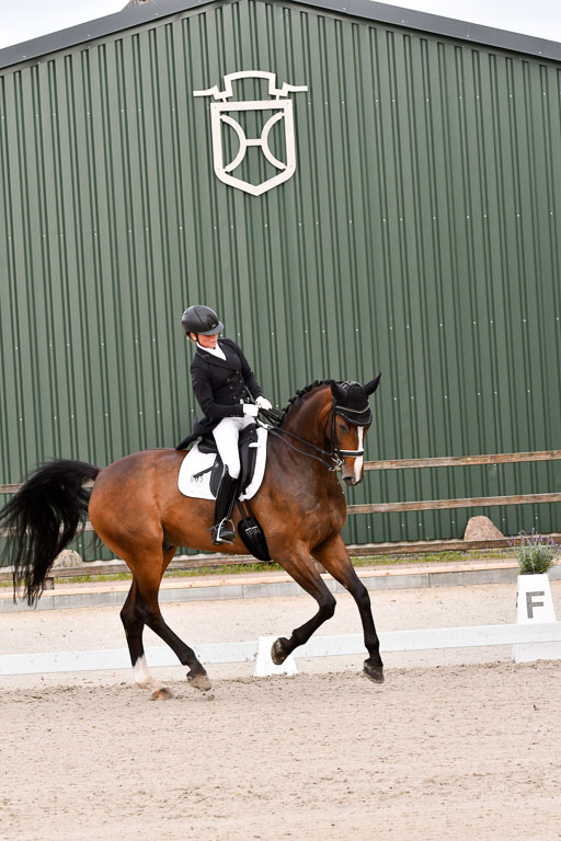 Klein Offenseth Dressur  1.8.2021 | 01082021 Dressur  KL S +_236 