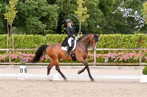 Klein Offenseth Dressur  1.8.2021 | 01082021 Dressur  KL S +_238 