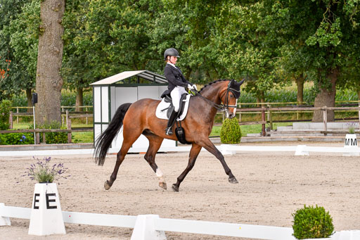 Klein Offenseth Dressur  1.8.2021 | 01082021 Dressur  KL S +_239 