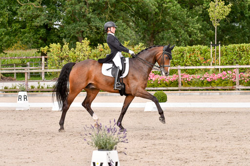 Klein Offenseth Dressur  1.8.2021 | 01082021 Dressur  KL S +_242 