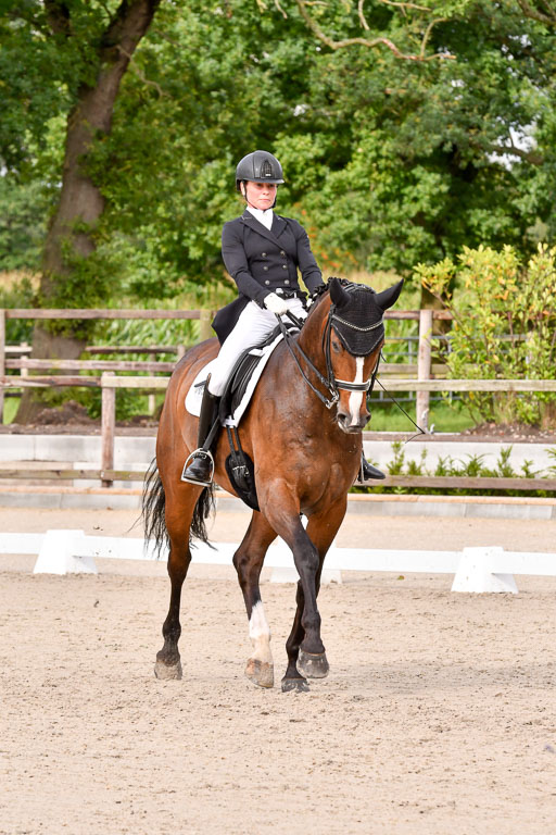 Klein Offenseth Dressur  1.8.2021 | 01082021 Dressur  KL S +_244 