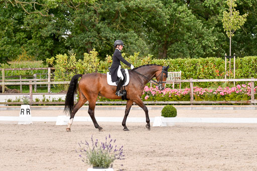 Klein Offenseth Dressur  1.8.2021 | 01082021 Dressur  KL S +_246 