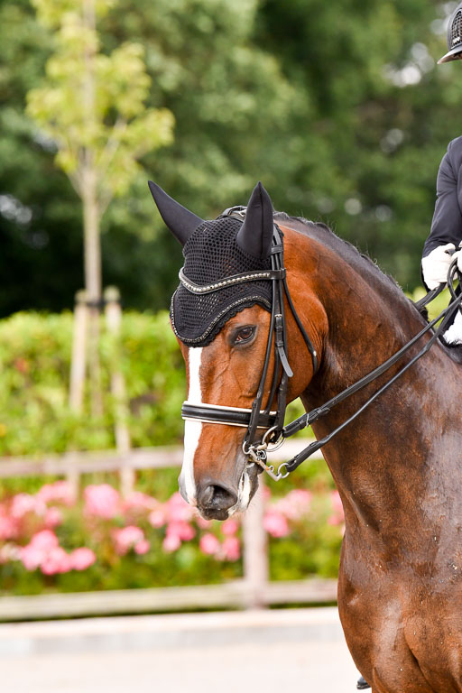 Klein Offenseth Dressur  1.8.2021 | 01082021 Dressur  KL S +_247 