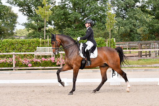 Klein Offenseth Dressur  1.8.2021 | 01082021 Dressur  KL S +_255 