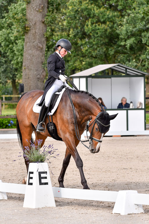 Klein Offenseth Dressur  1.8.2021 | 01082021 Dressur  KL S +_259 