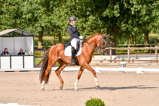 Klein Offenseth Dressur  1.8.2021 | 01082021 Dressur  KL S +_262 