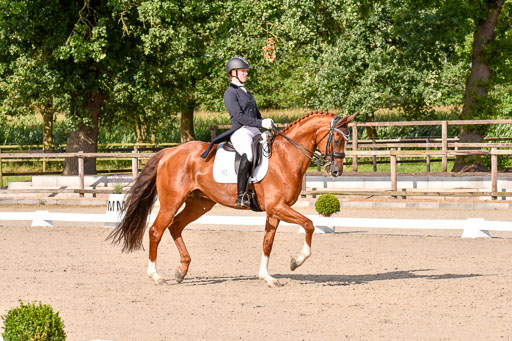 Klein Offenseth Dressur  1.8.2021 | 01082021 Dressur  KL S +_263 