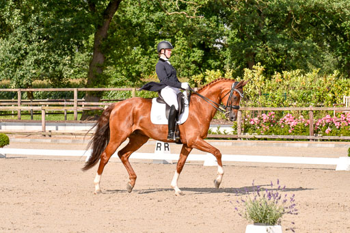 Klein Offenseth Dressur  1.8.2021 | 01082021 Dressur  KL S +_264 