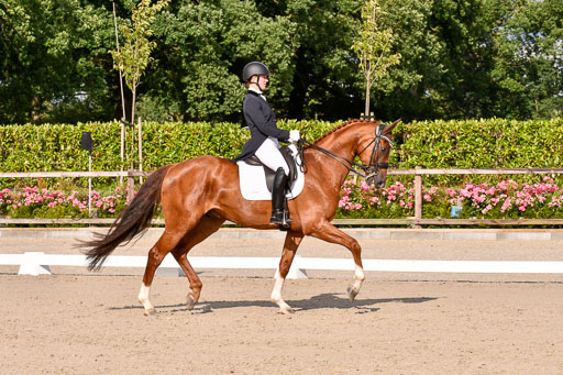 Klein Offenseth Dressur  1.8.2021 | 01082021 Dressur  KL S +_266 