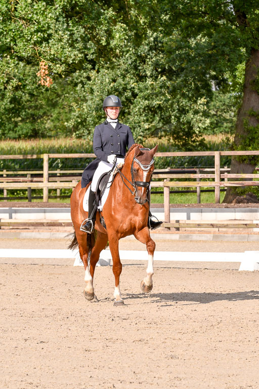 Klein Offenseth Dressur  1.8.2021 | 01082021 Dressur  KL S +_268 