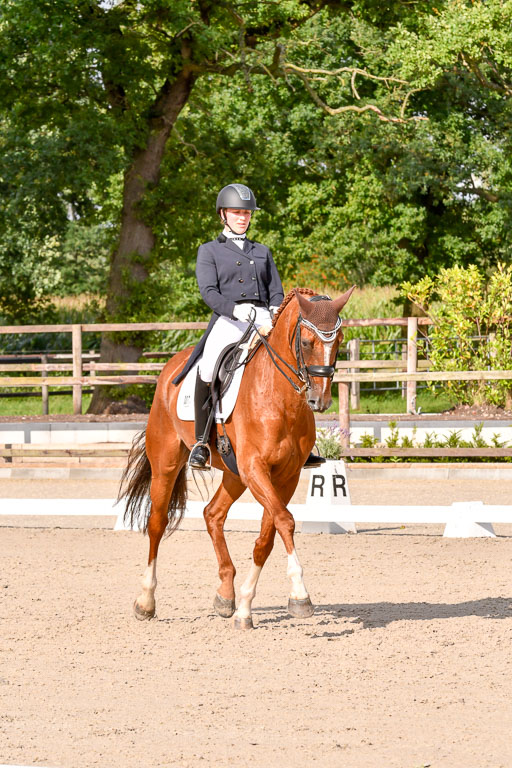 Klein Offenseth Dressur  1.8.2021 | 01082021 Dressur  KL S +_270 