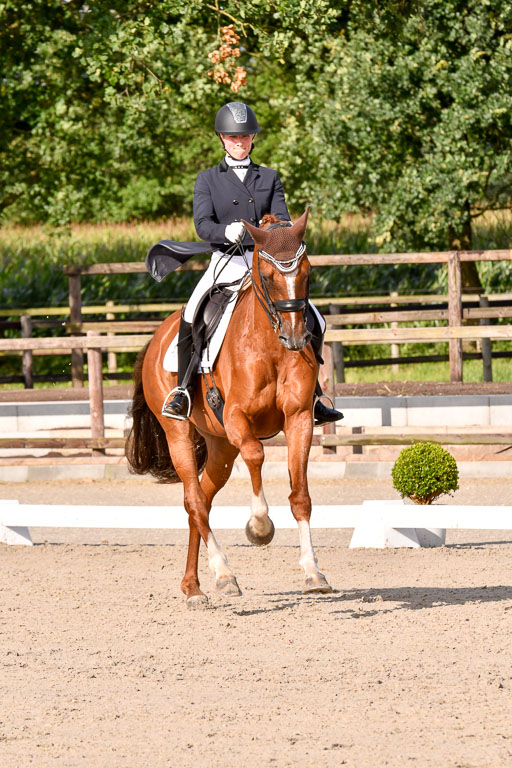 Klein Offenseth Dressur  1.8.2021 | 01082021 Dressur  KL S +_275 