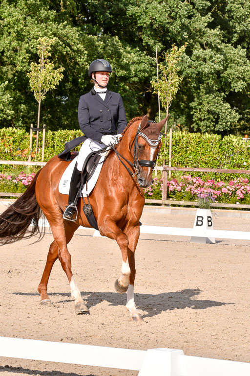 Klein Offenseth Dressur  1.8.2021 | 01082021 Dressur  KL S +_279 