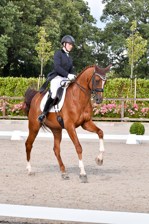 Klein Offenseth Dressur  1.8.2021 | 01082021 Dressur  KL S +_285 