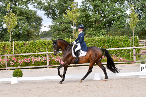 Klein Offenseth Dressur  1.8.2021 | 01082021 Dressur  KL S +_294 