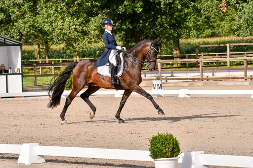 Klein Offenseth Dressur  1.8.2021 | 01082021 Dressur  KL S +_297 