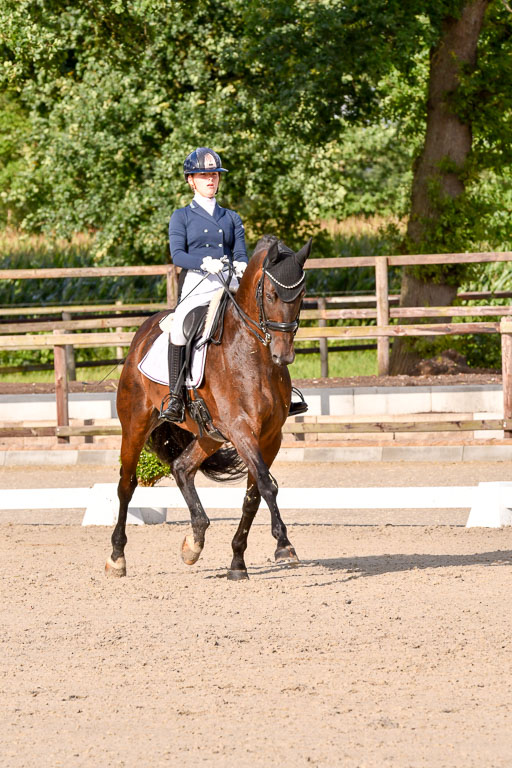 Klein Offenseth Dressur  1.8.2021 | 01082021 Dressur  KL S +_300 