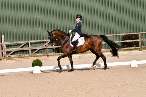 Klein Offenseth Dressur  1.8.2021 | 01082021 Dressur  KL S +_305 