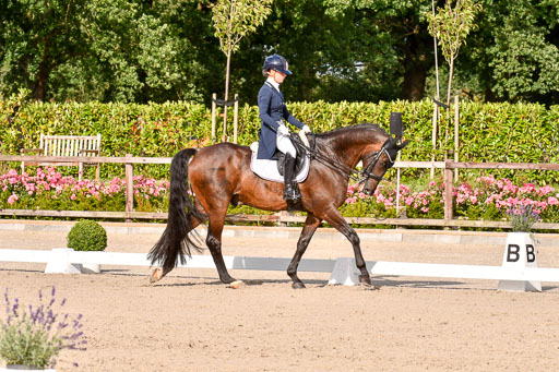 Klein Offenseth Dressur  1.8.2021 | 01082021 Dressur  KL S +_306 