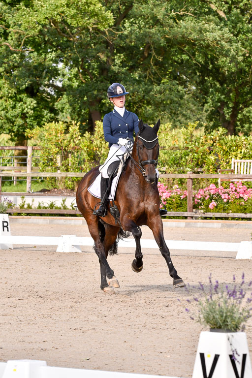 Klein Offenseth Dressur  1.8.2021 | 01082021 Dressur  KL S +_310 