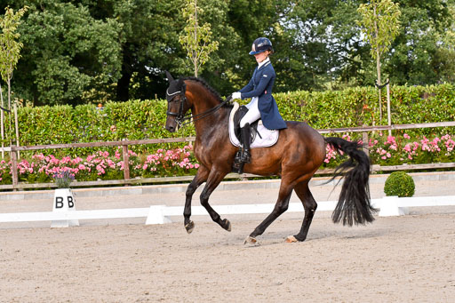 Klein Offenseth Dressur  1.8.2021 | 01082021 Dressur  KL S +_314 