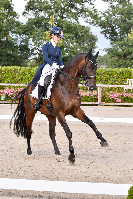 Klein Offenseth Dressur  1.8.2021 | 01082021 Dressur  KL S +_320 