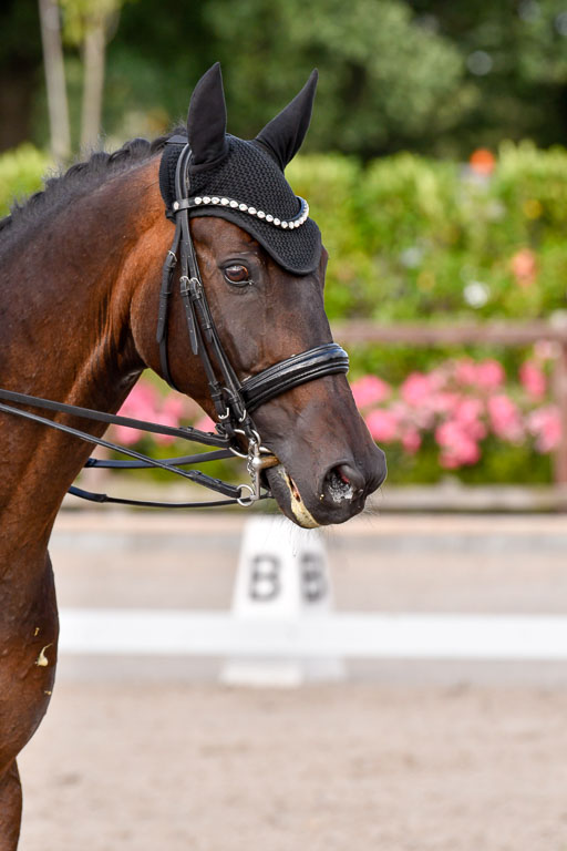 Klein Offenseth Dressur  1.8.2021 | 01082021 Dressur  KL S +_322 