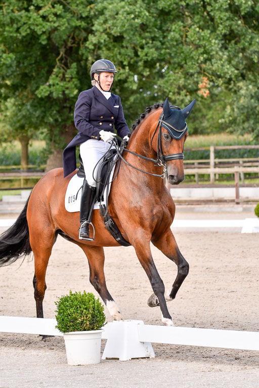 Klein Offenseth Dressur  1.8.2021 | 01082021 Dressur  KL S +_325 