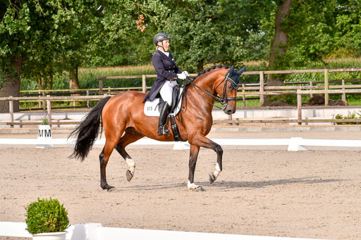 Klein Offenseth Dressur  1.8.2021 | 01082021 Dressur  KL S +_328 