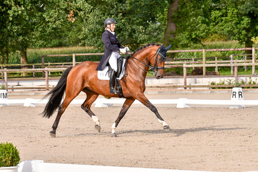 Klein Offenseth Dressur  1.8.2021 | 01082021 Dressur  KL S +_329 