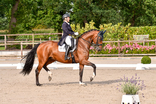 Klein Offenseth Dressur  1.8.2021 | 01082021 Dressur  KL S +_330 