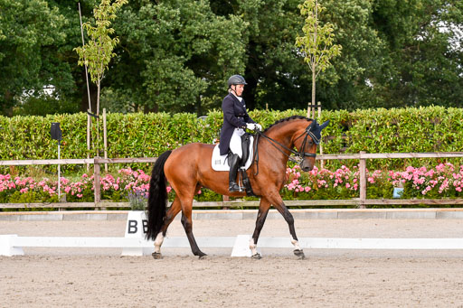 Klein Offenseth Dressur  1.8.2021 | 01082021 Dressur  KL S +_336 