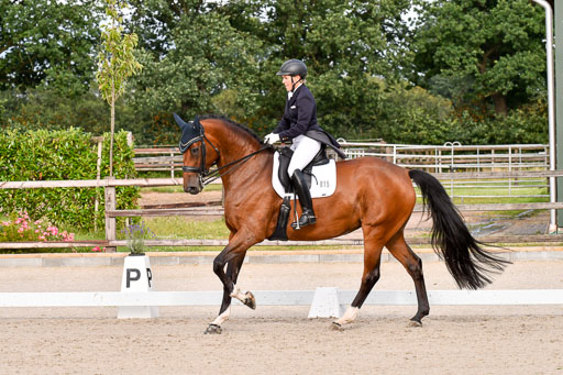 Klein Offenseth Dressur  1.8.2021 | 01082021 Dressur  KL S +_340 