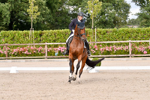 Klein Offenseth Dressur  1.8.2021 | 01082021 Dressur  KL S +_341 