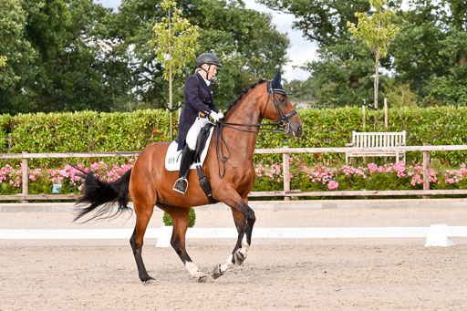 Klein Offenseth Dressur  1.8.2021 | 01082021 Dressur  KL S +_343 