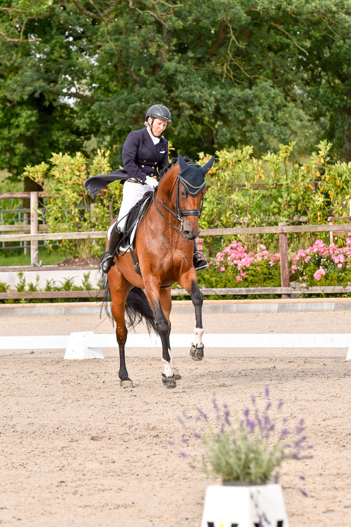 Klein Offenseth Dressur  1.8.2021 | 01082021 Dressur  KL S +_349 