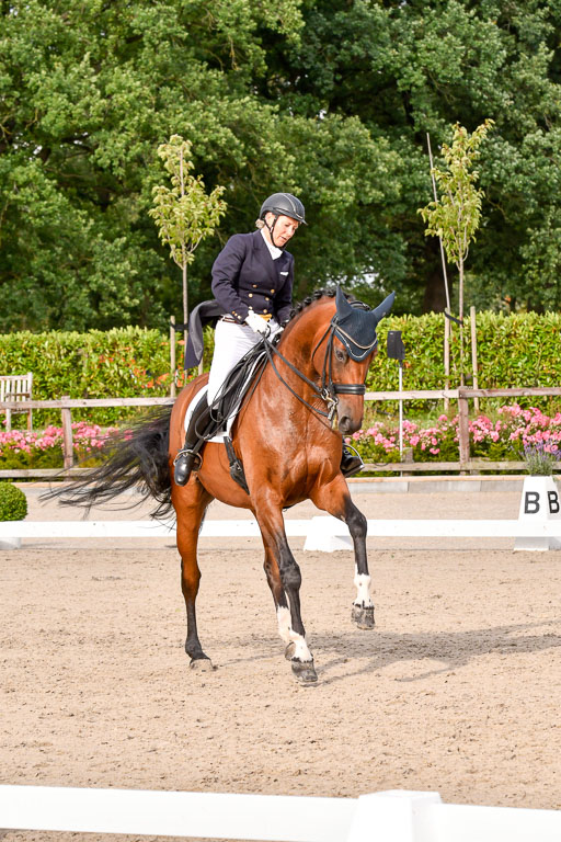 Klein Offenseth Dressur  1.8.2021 | 01082021 Dressur  KL S +_350 