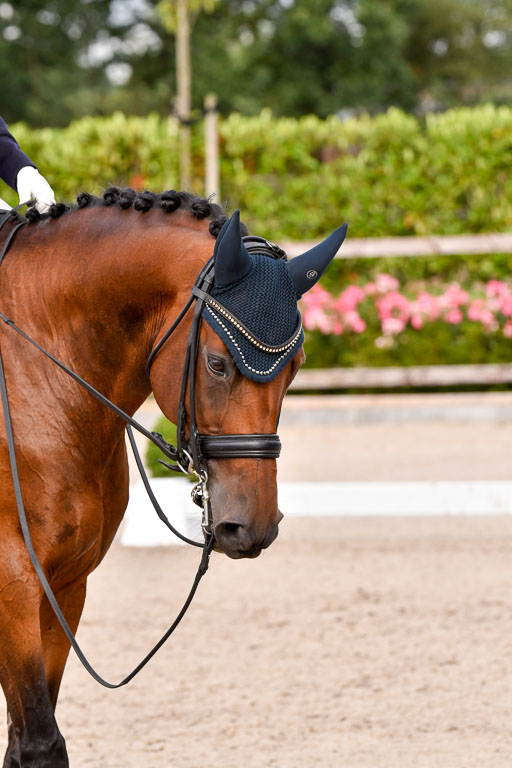 Klein Offenseth Dressur  1.8.2021 | 01082021 Dressur  KL S +_353 