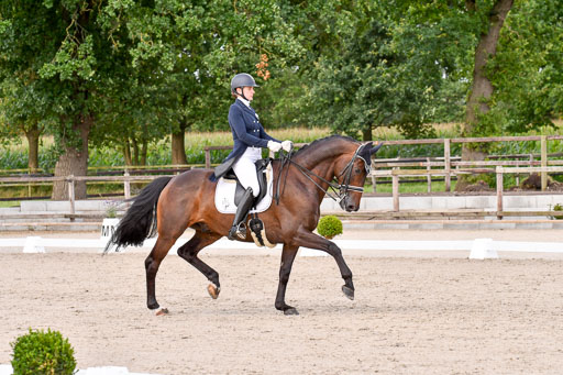 Klein Offenseth Dressur  1.8.2021 | 01082021 Dressur  KL S +_365 