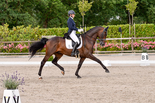 Klein Offenseth Dressur  1.8.2021 | 01082021 Dressur  KL S +_366 