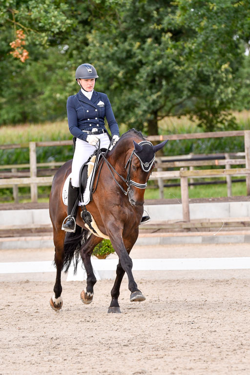 Klein Offenseth Dressur  1.8.2021 | 01082021 Dressur  KL S +_368 